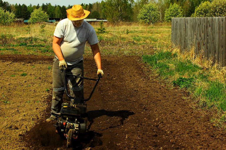 Should You Till Your Garden? Why or Why Not?